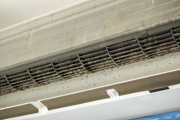 Best Ductwork Odor Removal in Woodbury Heights, NJ